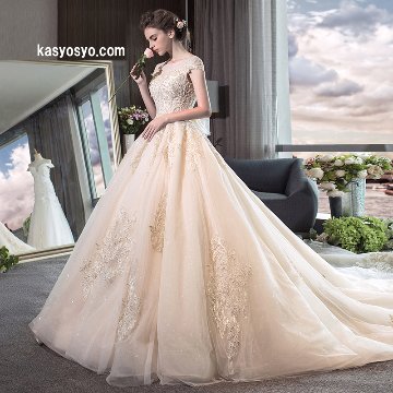 美しいバックラインレース ロングトレーン ウェディングドレス　袖付き　プリンセスラインの画像