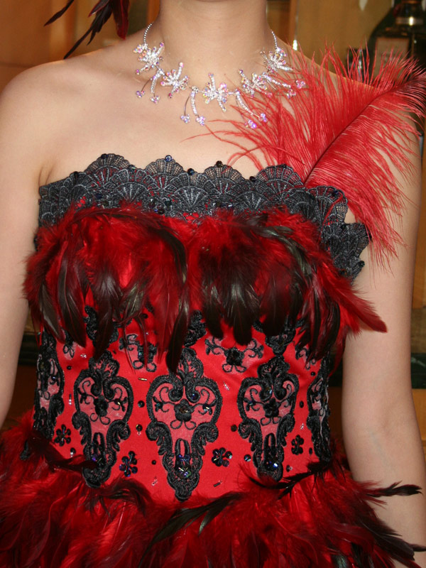 パーティードレス　ビスチェ　プリンセスライン　全身ダチョウや鳥の羽根で覆われているカラードレス画像