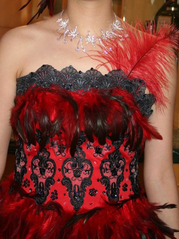 パーティードレス　ビスチェ　プリンセスライン　全身ダチョウや鳥の羽根で覆われているカラードレスの画像
