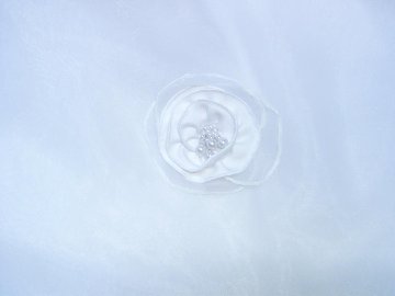 ウエディングドレス　ビスチェ　プリンセスライン　な手作り花びら　結婚式　チャペル式　披露宴　ガーデニングウエディングの画像