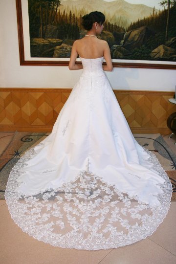 ウエディングドレス シースルートレーン　ビスチェ　プリンセスライン画像