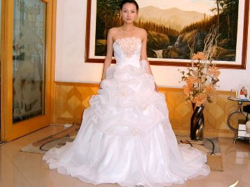 ウエディングドレス ビスチェ　プリンセスライン画像
