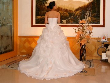 ウエディングドレス ビスチェ　プリンセスライン画像