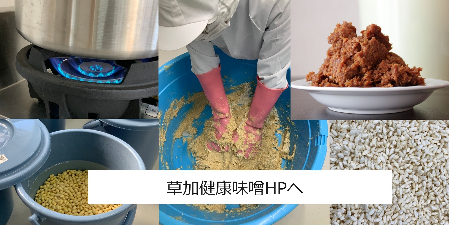 草加健康味噌HPへ