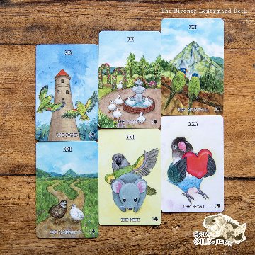 【ルノルマンカード】可愛い鳥たちのThe Birdner Lenormand Deck｜初心者にもおすすめの画像