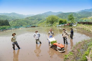 【お試し2合】兵庫県多可町産コシヒカリ【ともに米】の画像