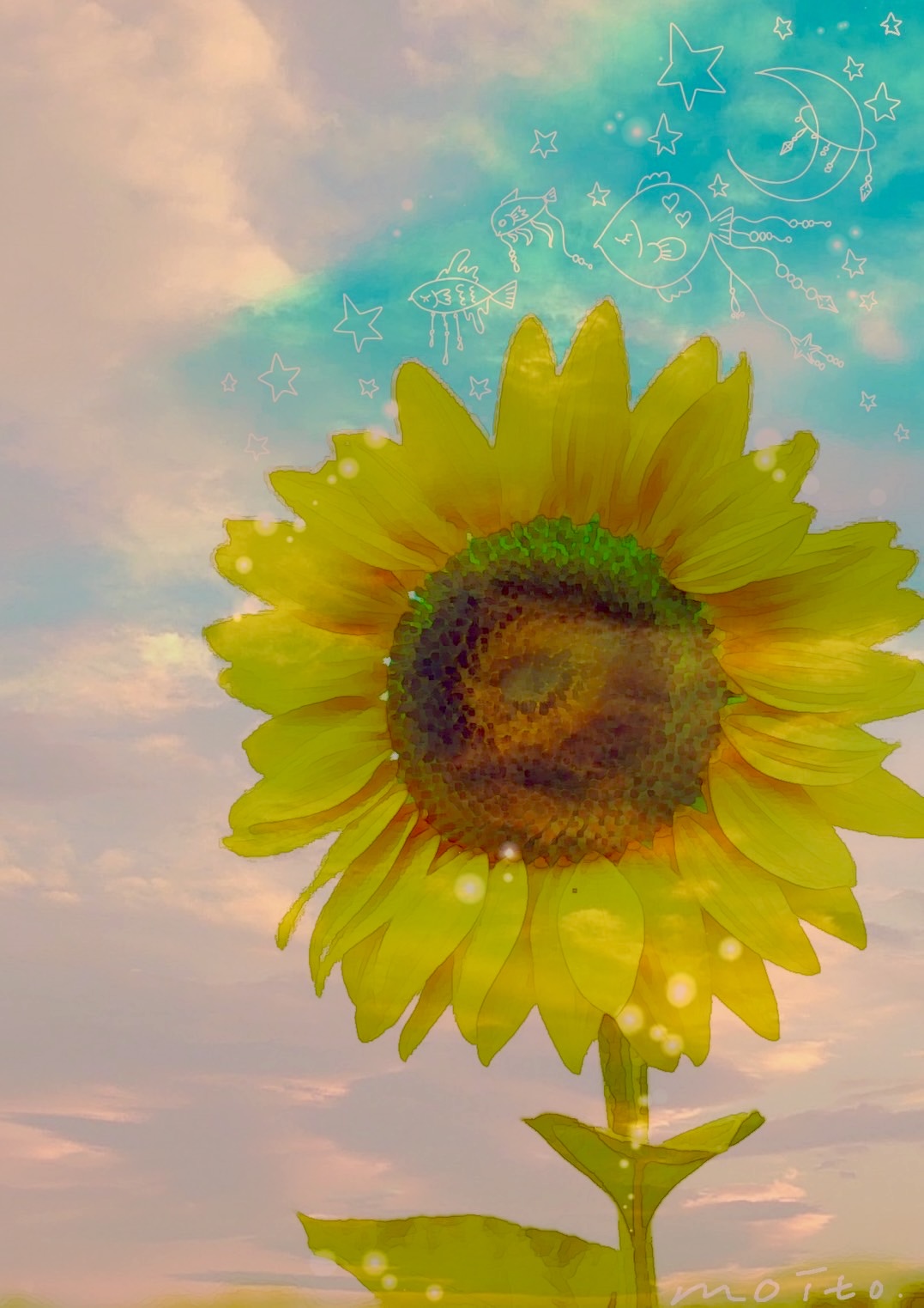 ポストカード　「夏」の画像