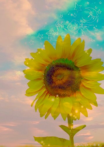 ポストカード　「夏」の画像