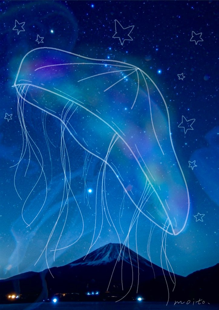 春夏秋冬　「冬」⭐️の画像