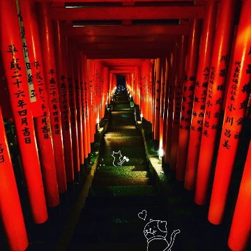 愛の画像