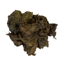 エゾ鹿グリーントライプ 50gの画像