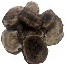 エゾ鹿茸チップス  30gの画像