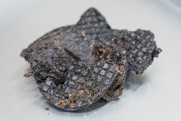 エゾシカ脾臓おやつ30ｇの画像