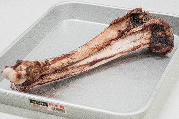 エゾシカ中足骨おやつの画像
