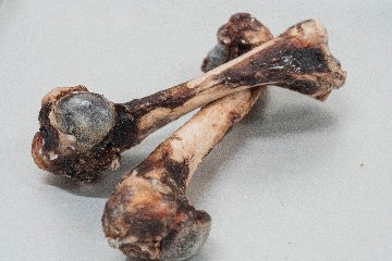 エゾシカ大腿骨おやつの画像