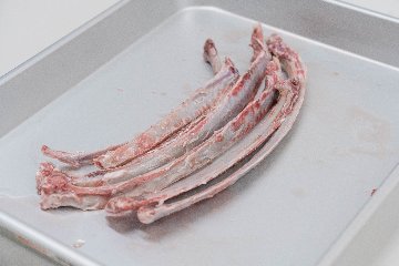 エゾシカあばら骨の画像