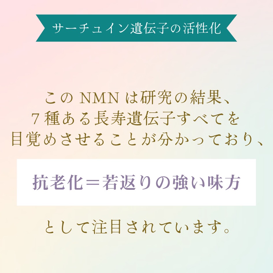 ★高純度NMNサプリ【NMN-15000 ULTIMATE】（250mg×60カプセル）日本製の画像