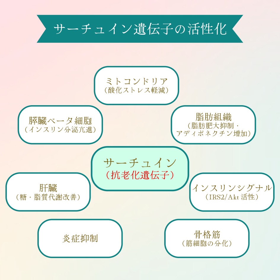 ★高純度NMNサプリ【NMN-15000 ULTIMATE】（250mg×60カプセル）日本製の画像