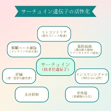 ★高純度NMNサプリ【NMN-15000 ULTIMATE】（250mg×60カプセル）日本製の画像