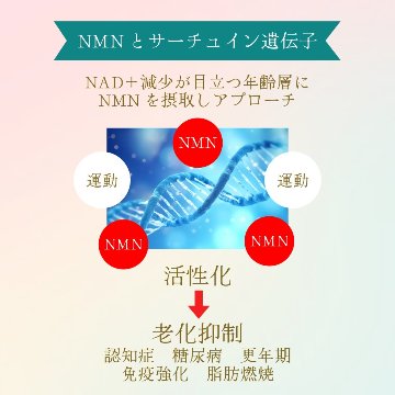★高純度NMNサプリ【NMN-15000 ULTIMATE】（250mg×60カプセル）日本製の画像