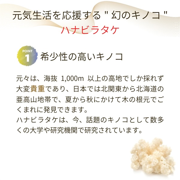 ★「幻のキノコ」ハナビラタケの最高傑作品【ハナビラタケX5乳酸菌バイオジェニックス 】120カプセルの画像