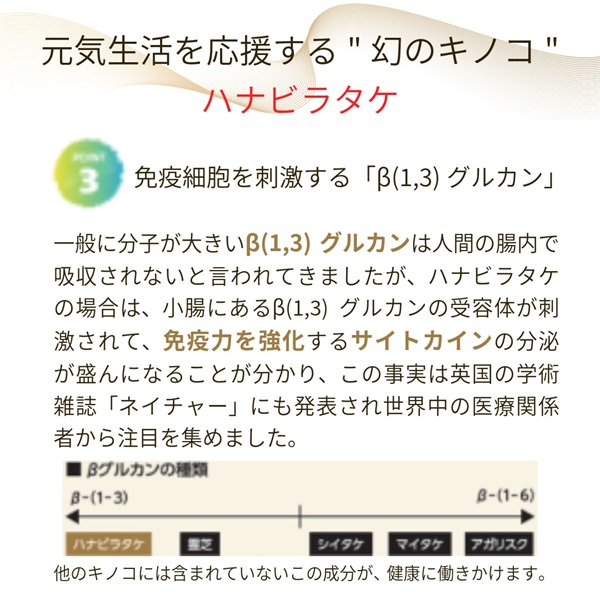 ★「幻のキノコ」ハナビラタケの最高傑作品【ハナビラタケX5乳酸菌バイオジェニックス 】120カプセルの画像