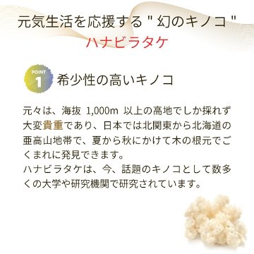 ★「幻のキノコ」ハナビラタケの最高傑作品【ハナビラタケX5乳酸菌バイオジェニックス 】120カプセルの画像