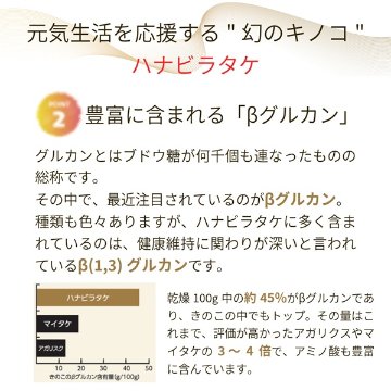 ★「幻のキノコ」ハナビラタケの最高傑作品【ハナビラタケX5乳酸菌バイオジェニックス 】120カプセルの画像