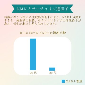 ★健康と美しさの両方を求める方に★馬プラセンタ配合【NMN-3800 ULTIMATE】100mg×38cap日本製（プランドゥシー・メディカル ）の画像