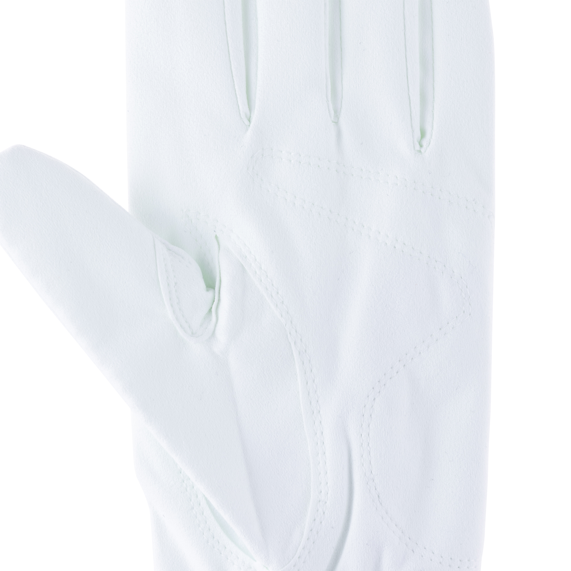 ドライコンパウンド　グローブの画像