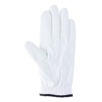 ドライコンパウンド　グローブの画像