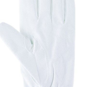 ドライコンパウンド　グローブの画像