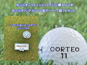 コルテオライト39プラス　1DZ　【期間限定】ドーム型マーカープレゼントの画像