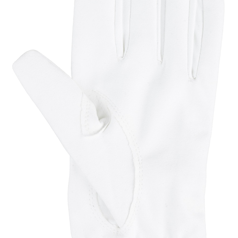 マイクロシリコングローブの画像