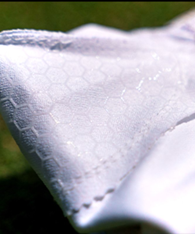 マイクロシリコングローブの画像