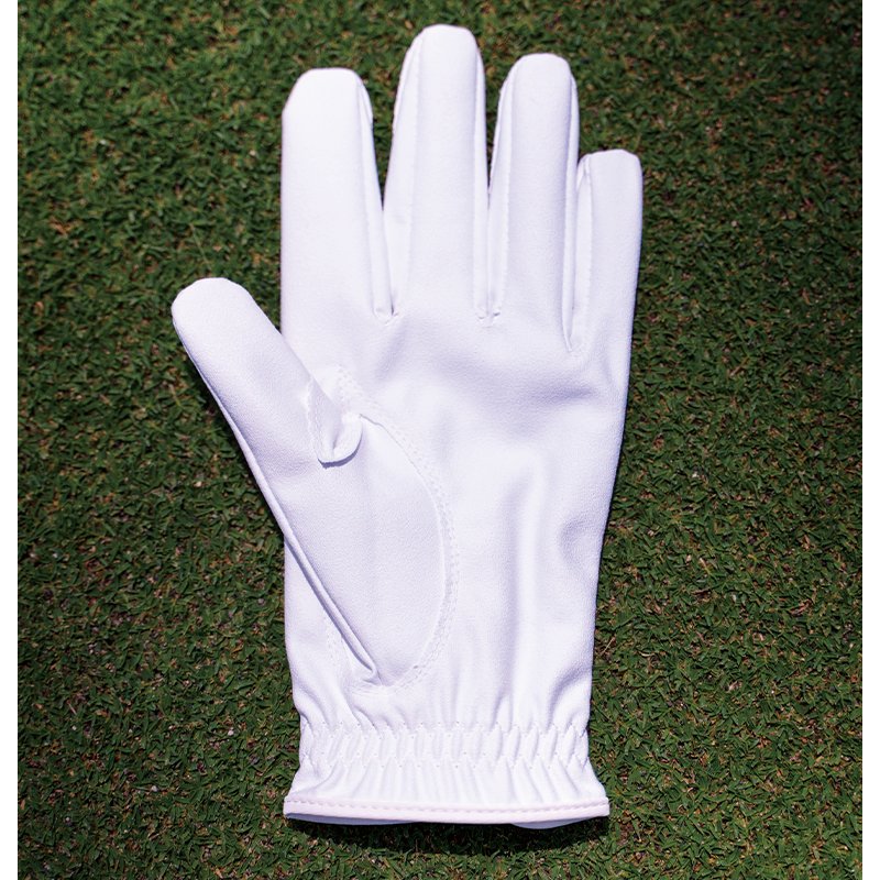 マイクロシリコングローブの画像