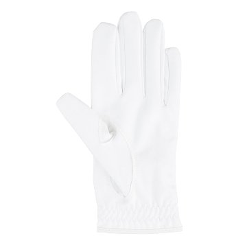 マイクロシリコングローブの画像