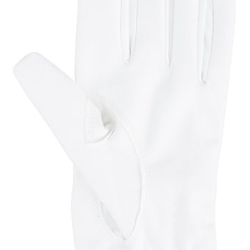 マイクロシリコングローブの画像