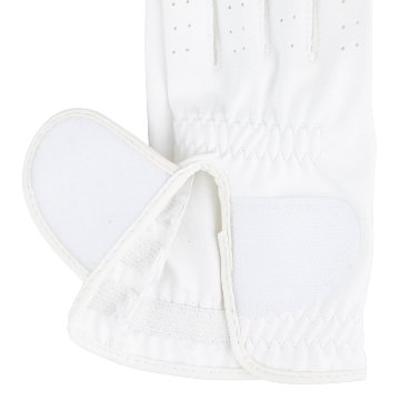 マイクロシリコングローブの画像