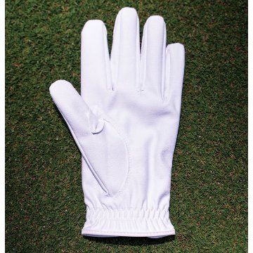 マイクロシリコングローブの画像