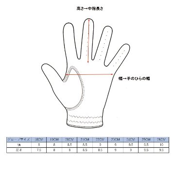 マイクロシリコングローブの画像