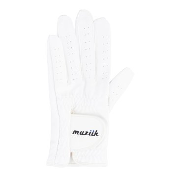 マイクロシリコングローブの画像