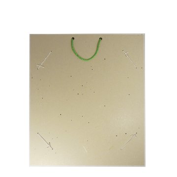 色紙掛 [きらめき] 草の画像