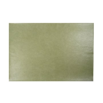 臨書用紙 [関戸本古今淡色] 淡緑　清書用　10枚の画像