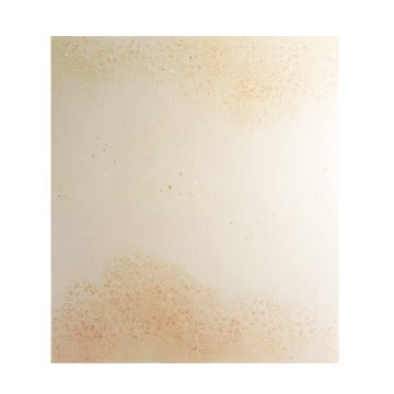 大色紙 練習用 [東山 R23] 12枚入りの画像