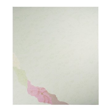 大色紙 練習用 [継ぎ紙 R22] 12枚入りの画像