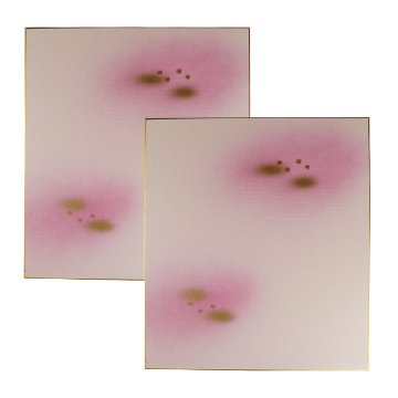 大色紙[桜]No.337　2枚組の画像