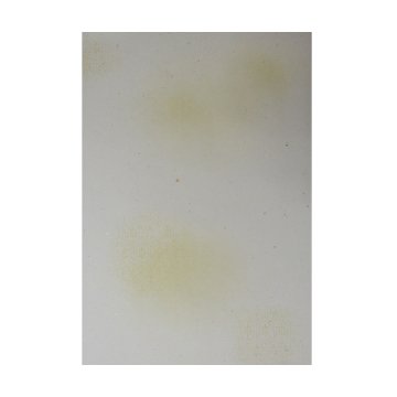 かな料紙 仮名料紙 料紙 [ほまれ] 半懐紙判 冊=50枚 【4月の西の日】の画像