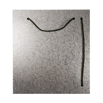 色紙掛け　玄武の画像