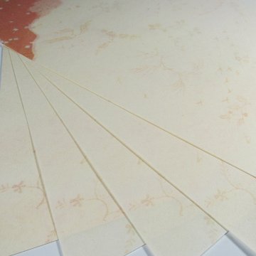 料紙 [新 きりつぎ] 中字用 半紙判 P＝50枚の画像